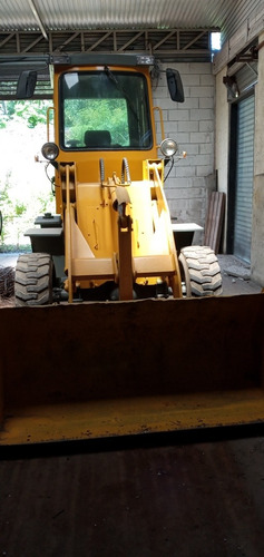 Pala Cargadora Michigan R45c