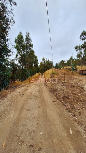 Casa En Venta De 1 Dorm 1 Baño, Topocalma, Puertecillo