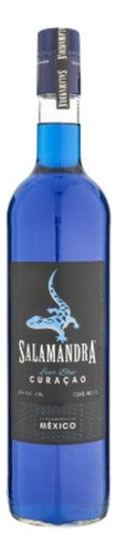 Caja De 12 Licor Salamandra De Curacao - Pet 1 L