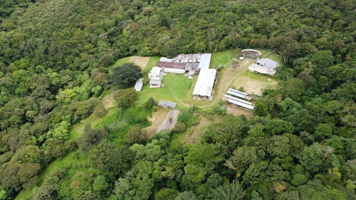 Imagen 3 de 22 de N.m. Finca En Venta En Capacho