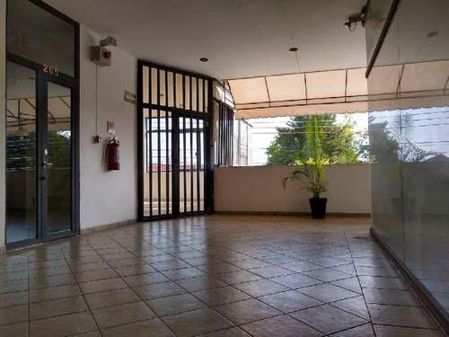 Se Renta Oficina Comercial En Col Las Reynas