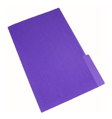 Carpeta Interna Nepaco Reforzadas Color Paq X 25 Unidades Color Violeta