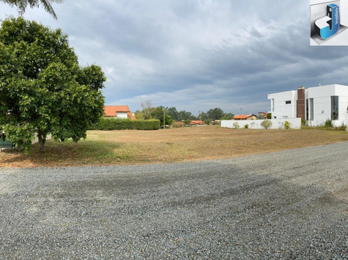 Imagem 5 de 5 de Ótimo Terreno A Venda No Condomínio Ninho Verde I Eco Residence - 1716