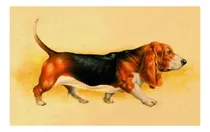 Comprar Perro Basset Hound - Mascotas - Animales - Lámina 45x30 Cm.