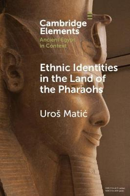 Libro Ethnic Identities In The Land Of The Pharaohs : Pas...