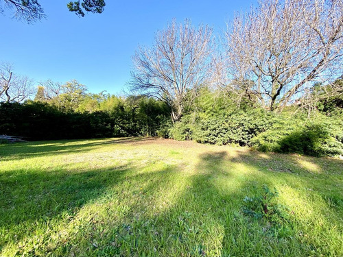 Imagen 2 de 11 de Espectacular Lote Terreno En Venta En Martinez - Libertador Al Rio