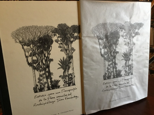 Estudio Flora Vascular Archipiélago Juan Fernández Ilustrado