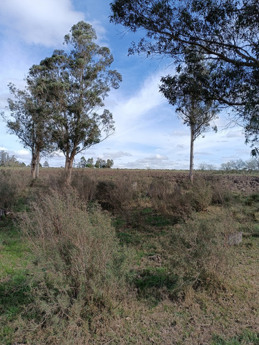 Vendo Chacra Con Cabaña De Madera, Cañada, A 30 Km De Montevideo