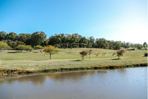 Imagen 23 de 30 de Terreno Lote En Venta Ubicado En Playa Brava, Punta Del Este, Punta Del Este / Maldonado