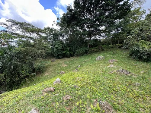 Lote Entre Restrepo Y Cumaral, Caney Medio
