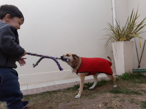 Imagen 10 de 10 de Peluquería Canina Y Guarderia