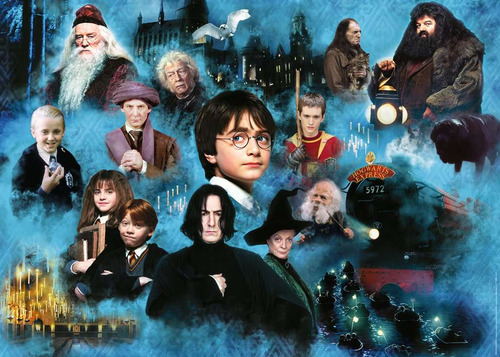 Rompecabezas El Mundo Mágico De Harry Potter 1000pz