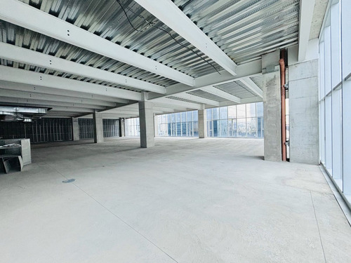 Se Renta Oficina En Obra Gris En Nuevo Polanco