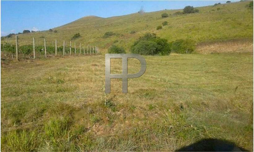 Imagen 3 de 7 de Campo En Venta Pueblo Edén 40 Hectáreas