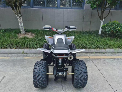 Imagen 11 de 21 de Cuatrimoto Predator 250cc Deportiva Mecanica 16hp. 0 Kl 2023