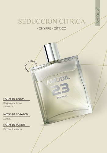 Amodil 23 Parfum For Men Perfume Para Hombre 100ml