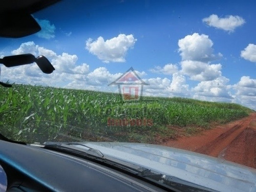 Imagem 7 de 14 de Fazenda À Venda 1.450 Há Em Dourados/ms - Fa0138