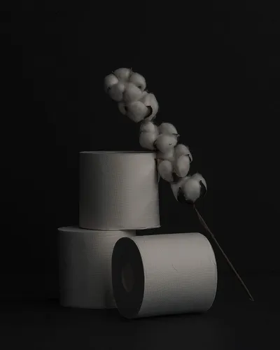 Papel Higienico De Lujo Luxsoft Premium De 3 Capas, Paquete