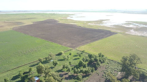 Imagen 3 de 8 de Campo En Venta En F. Madero - Agricola /ganadero