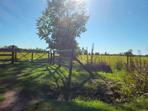 Campo De 4 Hectareas