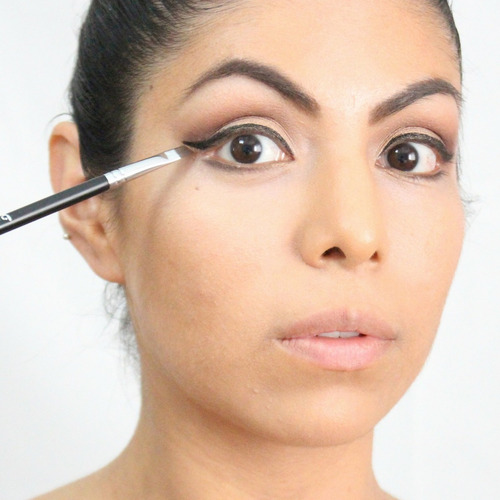 Delineador De Ojos Cepillo: Cepillo Del Maquillaje Pro Preci
