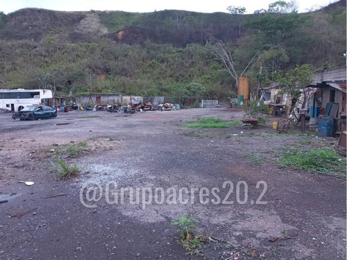 Imagen 7 de 7 de En Venta Un Gran Lote De Terreno En El Limoncito Vía Tejerías.lv