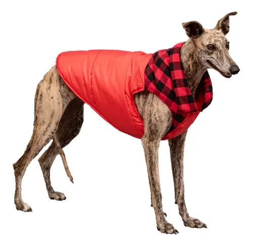 Ropa para perros mercado libre sale