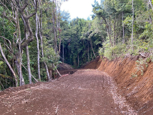 Z O N A S U R. C L Parcelas Orilla Y Acceso Lago Huilipilun