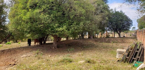 Imagem 18 de 27 de Sitio Com 2 Hectares A 4 Km Do Asfalto São João Da Boa Vista 600.000,00 - 33606