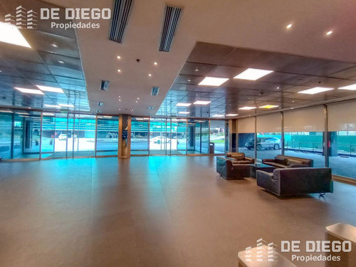 Oficinas En Alquiler 1060 M2 En Edificio Lumina Thames San Isidro, Certificacion Leed Green Building