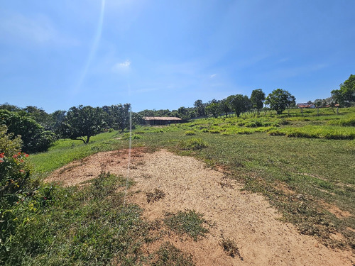 Lindo Sítio Com 22.000m2 - Oportunidade