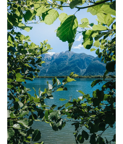 Hermosa Hectárea Con Acceso Al Río Aysen A 10 Min De Puerto