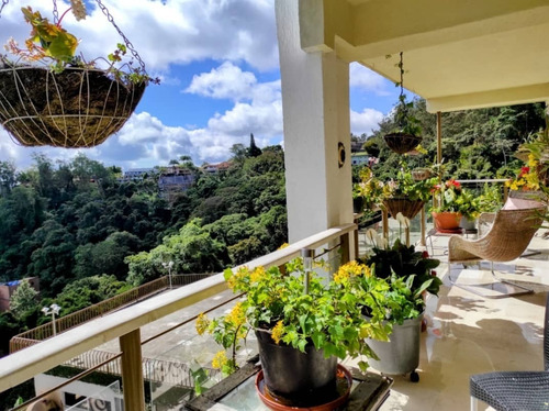Imagen 11 de 23 de Apartamento En Venta