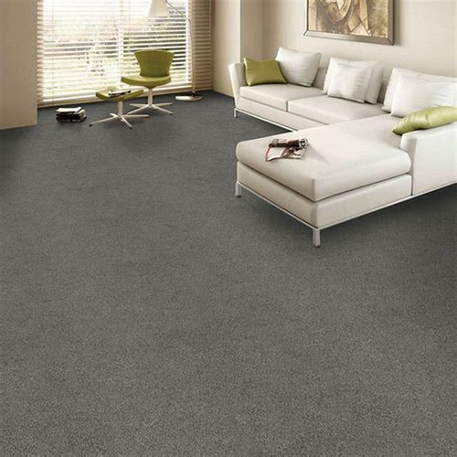 Alfombra De Suo Rudo Ideal Para Areas Interiores