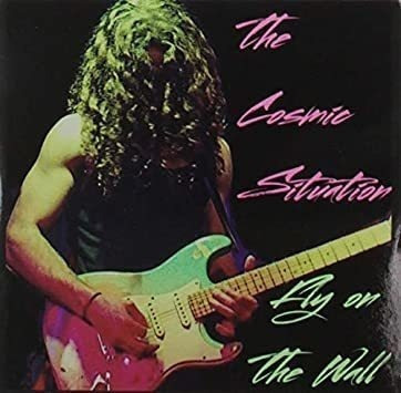 Cosmic Situation Fly On The Wall Usa Import Cd