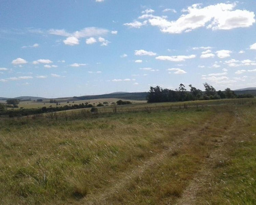 Mieres Vende 79.50 Has | Campo | Camino Corte De La Leña