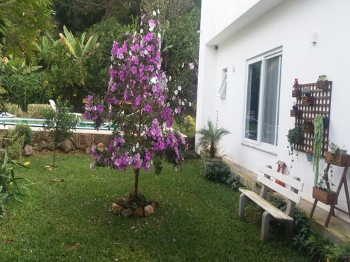 Chácara 3400 M² - Palermo - Gravataí - Rs - 1865 - 32755809