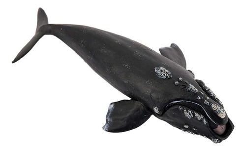 Figura De Acción De Ballena, Figura De Animales, Colección