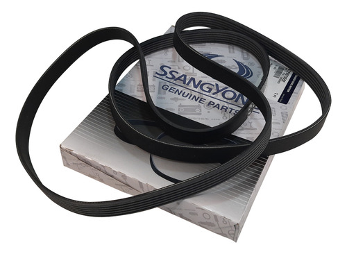 Correa De Accesorio Ssangyong New Rexton Ii D22dtr (2022-24)