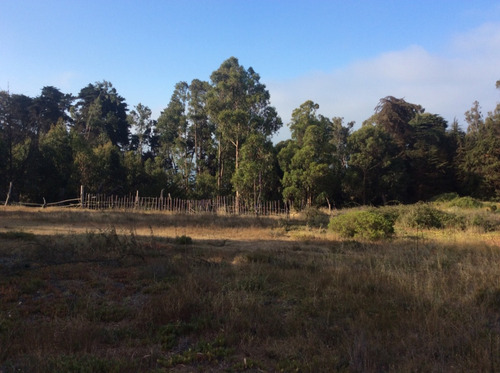 Terreno De 7.428 Mt A 200 Mt De Bajada Playa Caucau, Horcon
