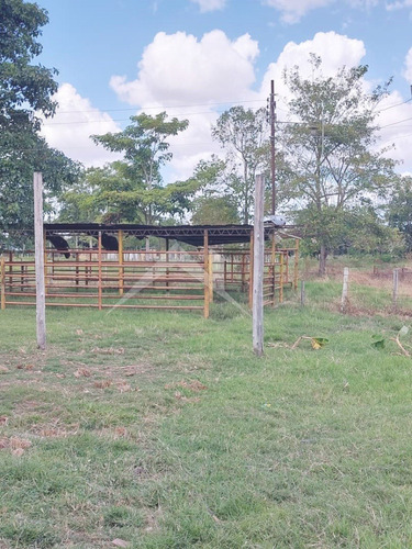 Imagen 3 de 16 de En Venta Finca En Maturin