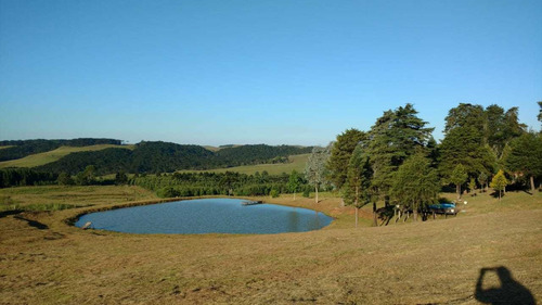 Fazenda Com 290 Hectares Para Pecuária E Lazer Em Gramado Rs