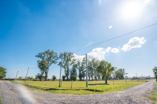 Imagen 6 de 16 de Venta- Terreno - La Plata- Barrio Abierto El Alba