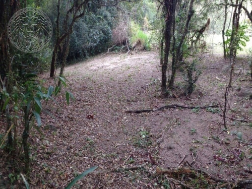 Imagem 7 de 15 de Terreno - Ribeirao Da Ilha - Ref: 1483 - V-1520