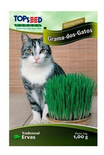 Grama Dos Gatos A Verdadeira Frete Gratis 1002 Sementes