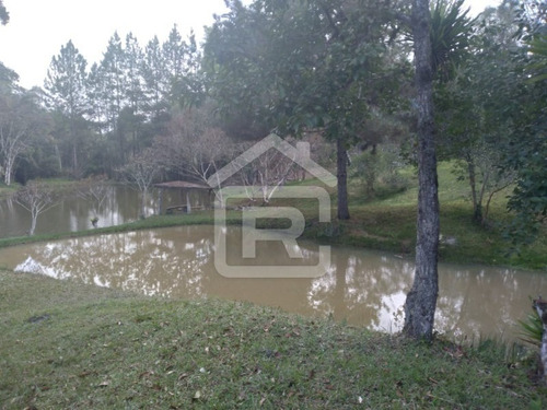 Imagem 26 de 30 de Itio Ideal Para O Seu Lazer Tendo 3 Lagos Piscosos Com Peixe, 02 Nascentes Próprias, Pomar, Horta. - 77 - 70066608