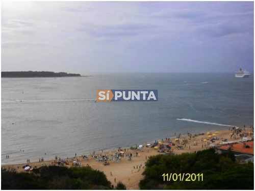 Imagen 14 de 15 de Apartamento En Alquiler
