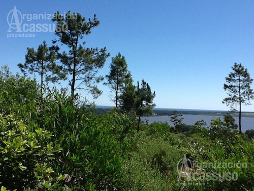 Imagen 13 de 19 de Punta Del Este - Chacra Venta Usd 1.100.000