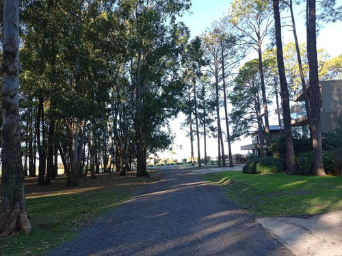Terreno En Puerto Paraiso - Barrio Cerrado - Gran Arboleda - Bajada Al Rio