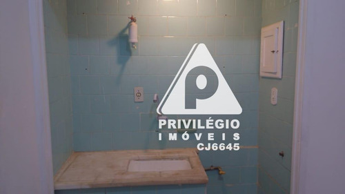 Apartamento Para Aluguel, 1 Quarto, Laranjeiras - Rio De Janeiro/rj - 29489